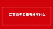 江西自考实践考核考什么?