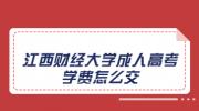 江西财经大学成人高考学费怎么交?