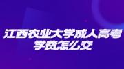 江西农业大学成人高考学费怎么交?