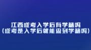 江西成考入学后有学籍吗？(成考是入学后就能查到学籍吗)