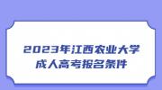 2023年江西农业大学成人高考报名条件