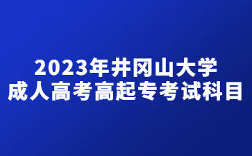 2023年井冈山大学成人高考高起专考试科目