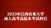 2023年江西农业大学成人高考高起本考试科目