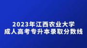 2023年江西农业大学成人高考专升本录取分数线